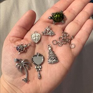 No Brand • Assorted Charms